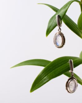 Chic Statement Earrings